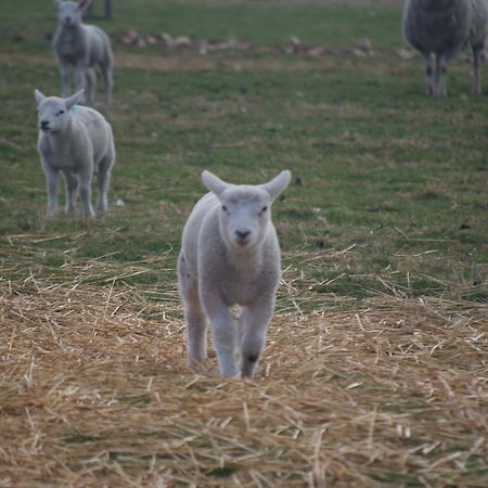 Woodhouse Farm Lodge Spalding Buitenkant foto